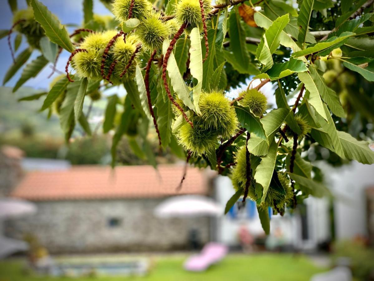 Casa Do Acor - Villaverde Azores Feteiras Εξωτερικό φωτογραφία