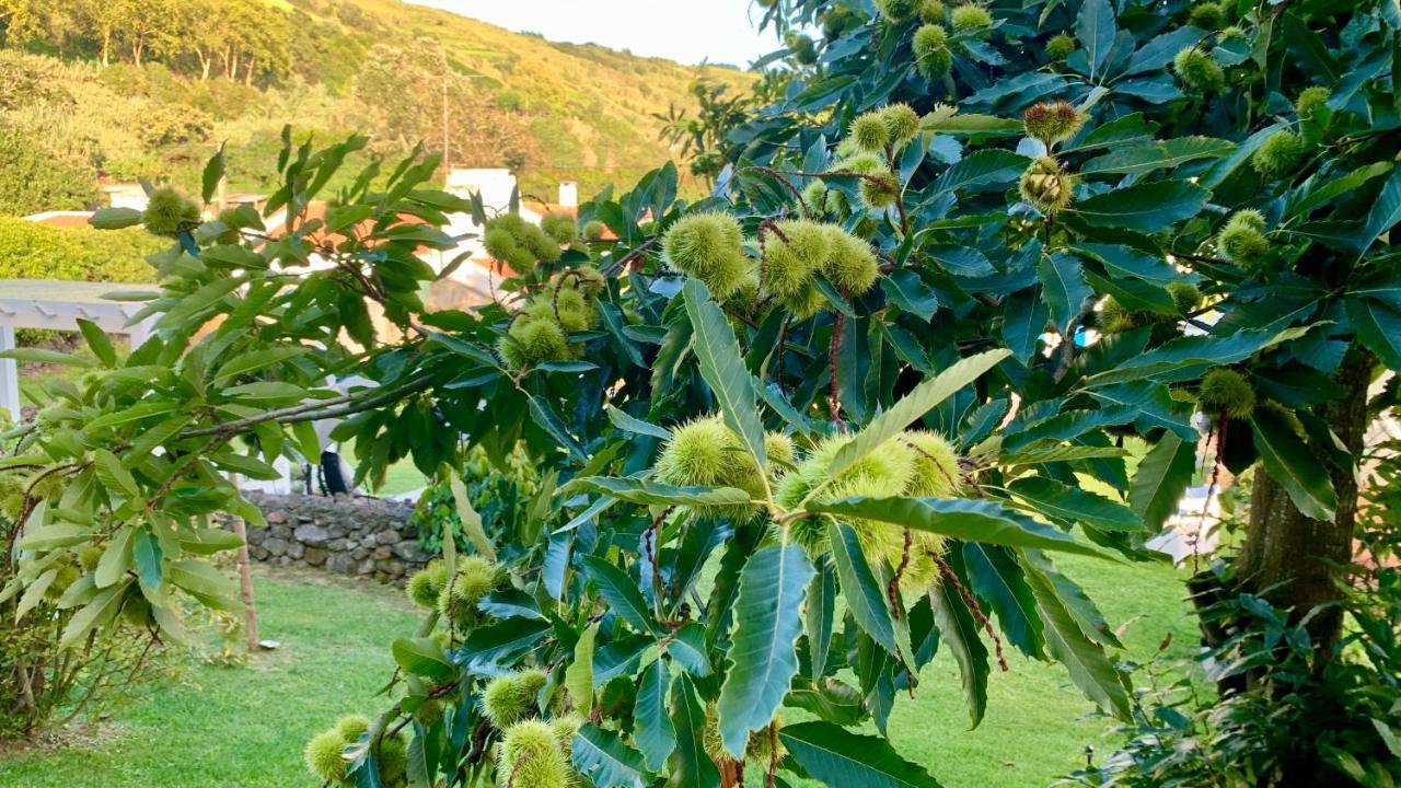 Casa Do Acor - Villaverde Azores Feteiras Εξωτερικό φωτογραφία